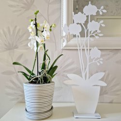 Lonneberg Orkid fnsterprydnad Vit 50 cm